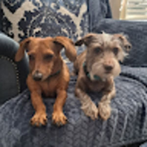 Meet your Posher, Kylie